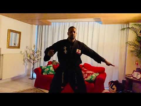Kuk Sool Won basic hand strikes and kicking techniques from home