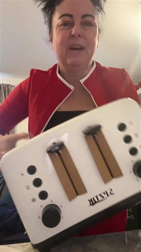 Stylish Toaster Muffins Recipe for Fast Breakfasts