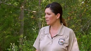 22K views · 446 reactions | Have you ever seen wild pigs in Kentucky? For the sake of native wildlife, land, and agriculture we hope that you don't, but if you do here's some advice on how to rid yourself of them! | Kentucky Afield | Facebook