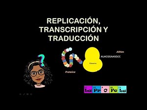 ¡Descubre el Proceso de Replicación, Transcripción y Traducción en Minutos!