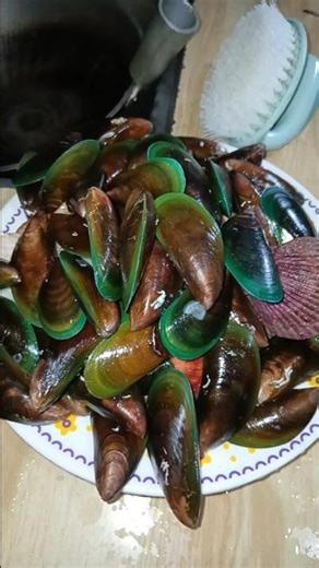 SEAFOOD FEAST TIME! 🦀🦑🦐 Fresh Crab, Squid, Shrimp & Green Shells Ready to Cook! 🔥🍴