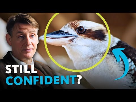 DEBUNKING All of the Best “Proof” of Evolution in 12 Minutes