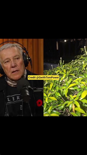 alex lifeson rush interview