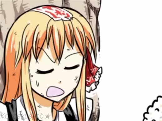 Celebrating 100k Followers with Touhou Project Memes