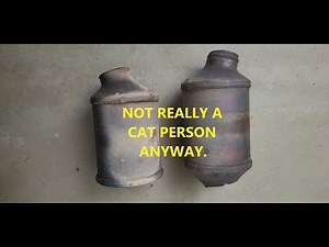 Cat Delete on 2019 Mustang GT PP1