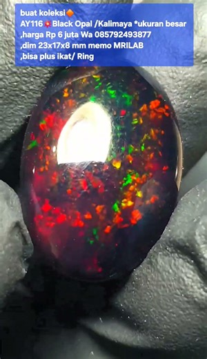 buat koleksi🔶️AY116💥Black Opal /Kalimaya *ukuran besar ,harga Rp 6 juta Wa 085792493877,dim 23x17x8
