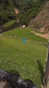 250K views · 1.6K reactions | ✨ Un visitante majestuoso en el...