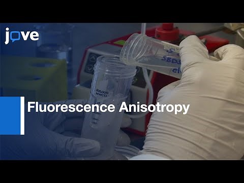 Fluorescence Anisotropy to Study Protein-protein Interactions | Protocol Preview