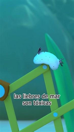 ¡Las orejas de las liebres de mar en realidad son sensores! | Leo, El Explorador | Animación