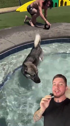 A CAÇA deixou ele sem MEDO...