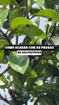 How to get rid of pests on your fruit tree ✅