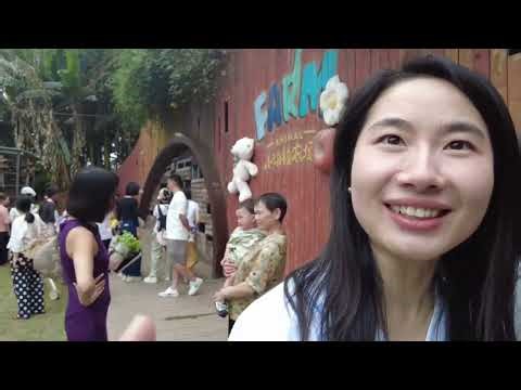Day Out with Chinese Girl in Chengdu #vlog #travel #china