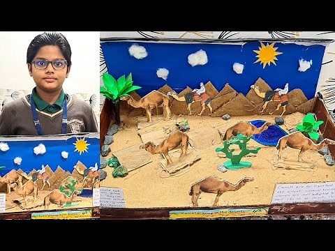 Camel Grazing in the desert | School Science Project Desert Model making | Science exhibition