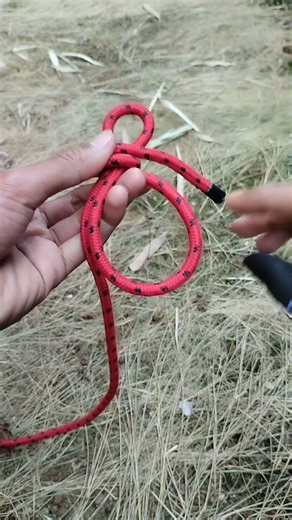 Strong Fixed Loop Knot