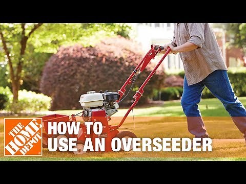 How to Use a Classen Overseeder Rental