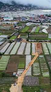 9.8K views | Flat Terrain (Ready To Build) Lot Area: 13,700 Square...