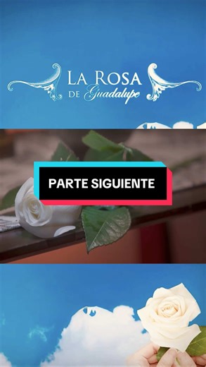 Encuentra tus favoritos en Mercado Libre