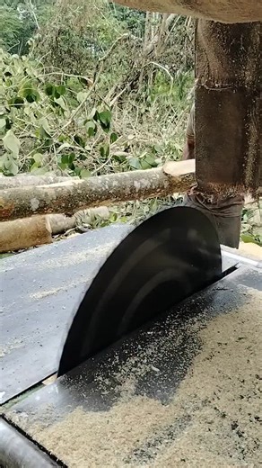 Big Pin Oak Milling: Transforming Timber at the Sawmill