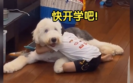 狗：再忍忍吧，暑假就快过去了！