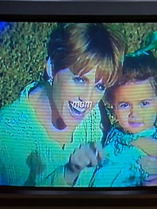 The Nanny: Fran's Unique Role with Sara's Kids