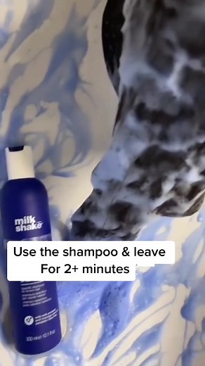 The best blue shampoo & conditioner #blueshampoo #blueconditioner #brassyhair