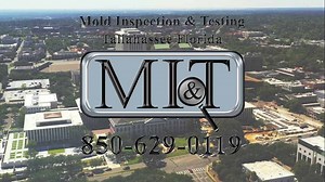 Mold Inspection & Testing Tallahassee Florida