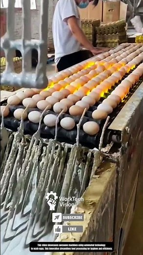 Awesome Machines: Automated Egg Washing Technology