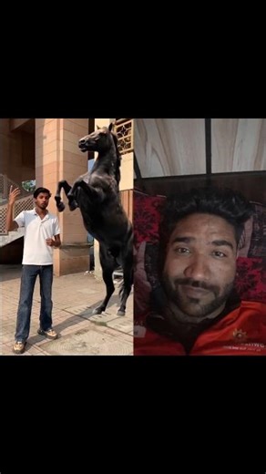 Jump Higher than Horse Win 100000/-#challenge #jump 😱