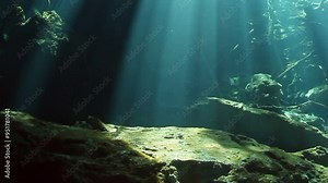 A beautiful underwater scene with sunlight shining through the water. The scene is peaceful and serene, with the sunlight creating a warm and inviting atmosphere. The water is clear and calm