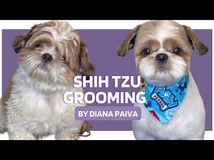 HOW TO GROOM A SHIH TZU - Dog Grooming Tips #dogs #doggrooming #shihtzu
