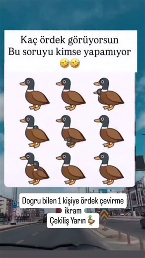 Bolulu Mehmet Usta on Instagram: "Gelsin cevaplar 🤣"