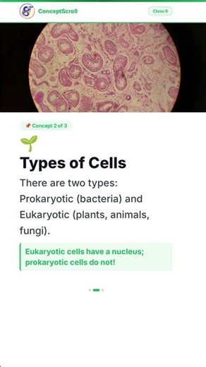 The Fundamental Unit of Life, Class 9 Science | Chapter 5 | Class 9 Biology | NCERT | ConceptScroll