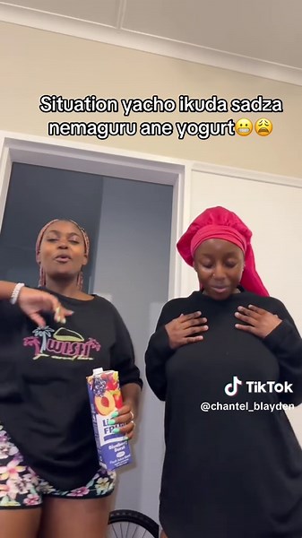 Creative Zimbabwean Dish: Sadza with Yogurt