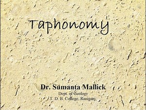 Taphonomy (Law of fossilization)