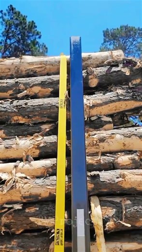 Innovative Best Automatic Log Securing System: Best Safe Cargo Control