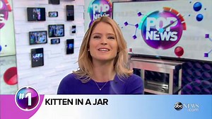 Kitten Plays Hide And Seek Inside A Glass Jar