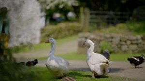 8.5K views · 56 reactions | Calling all foodies! Have YOU been tuning...