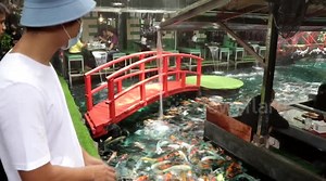 Amazing restaurant built inside a carp fish pond in Thailand