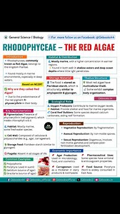 Rhodophyceae – The Red Algae Nature's hidden gems, thriving in the depths of the ocean! 🌿✨ From sushi wraps to agar production, these marine wonders play a crucial role in ecosystems and industries. 📌 Fun Fact: Red algae contribute to coral reef formation and oxygen production! 🐠💦 💡 Did you know? Porphyra (Nori) is a key ingredient in sushi! 🍣 #RedAlgae #MarineBiology #OceanLife #GKbooks #AgarProduction #Carrageenan #Nori #OxygenProducers #CoralReefBuilders #GeneralScience #CompetitiveExam