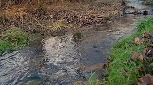 File, Folder, Office, Business