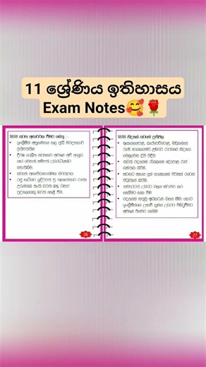 Grade 11 History Exam Notes 📝 | Quick Revision | A+🔥 #Grade11History #ExamNotes
