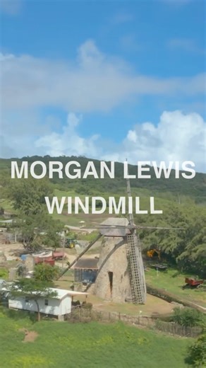 Will you be participating in this year’s Run Barbados Marathon? Half-marathon and marathon runners will turn 100M before this windmill to continue their route. The Morgan Lewis Windmill is one of the most iconic sights in Barbados, nestled in the parish of St.Andrew. Register online at www.runbarbados.org! #TheBTMI #LoveBarbados #MyBarbados #VisitBarbados #MarathonWeekend #CarribbeanMarathon | Visit Barbados