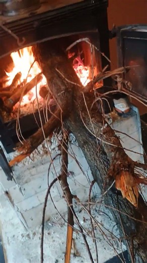 comment allumer un feu de cheminée