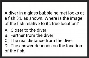 A diver in a glass bubble helmet looks at a fish 34 . as shown.... | Filo