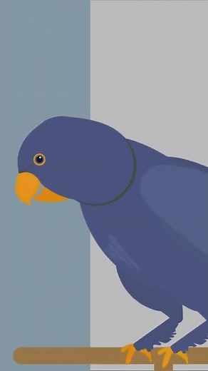 The Backrooms - All Hail Jerry