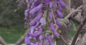 Video by Physical  Pixel on Pexels