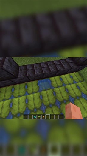 Minecraft Secret Base Trick Using Big Dripleaf! 🤯 #shorts #minecraft #minecraftjava #viral