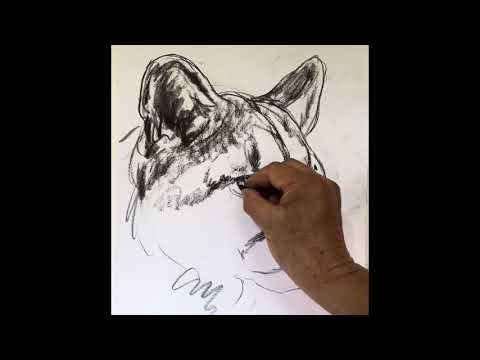 The Quiet Power — Puma Drawing Process