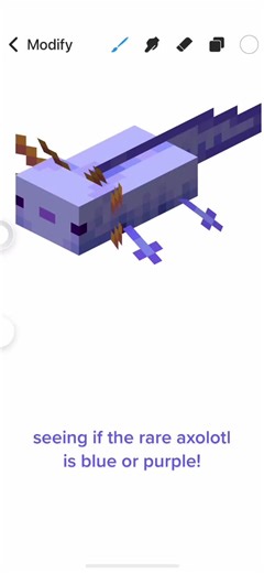 Identifying the Color of the Rare Axolotl