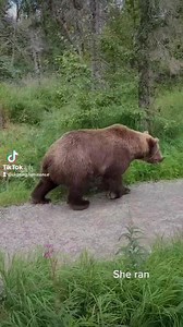 35 reactions · 18 shares | Make this go viral | Chasing Luminance | Facebook